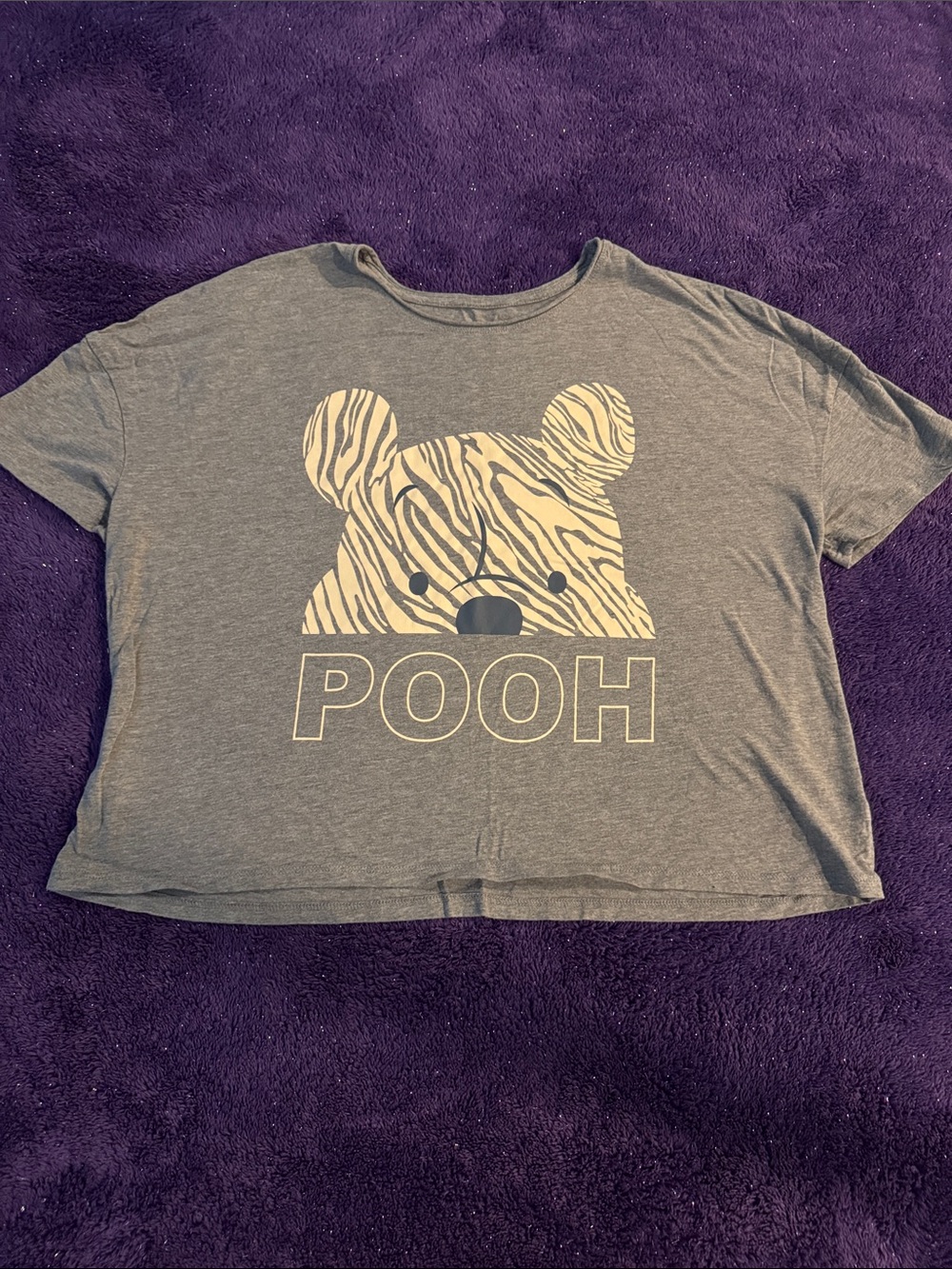 Disney Winnie the Pooh Cropped T-Shirt